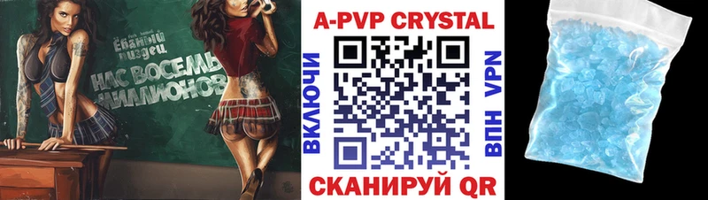 блэк спрут tor Чайковский APVP СК как найти