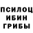 Псилоцибиновые грибы Magic Shrooms Jamol Xasanov