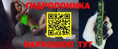 прущие грибы Краснокаменск