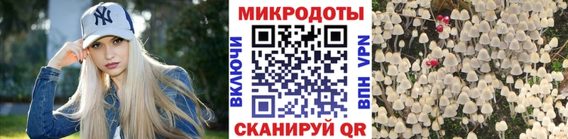 Псилоцибиновые грибы ЛСД  Чайковский 
