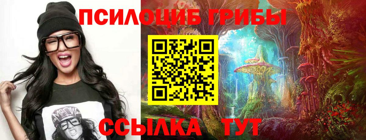 Чайковский  Псилоцибиновые грибы мухоморы  Вход с VPN 